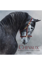 Chevaux -  hommage a la plus belle conquete de l-homme