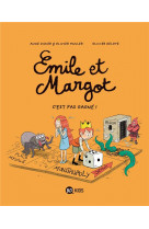 Emile et margot, tome 11 - c-est pas gagne !