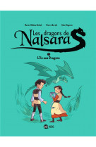 Les dragons de nalsara, tome 01 - l-ile aux dragons dragons de nalsara 1 ne