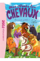 Mes amis les chevaux - sophie thalmann - t43 - mes amis les chevaux 43 - etonnants pottoks !