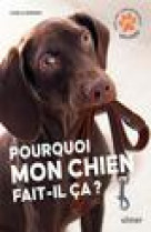 Pourquoi mon chien fait-il ca?