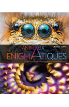 Enigmatiques - la vie secrete des animaux les plus impressionnants