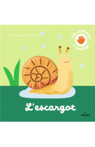 L'escargot