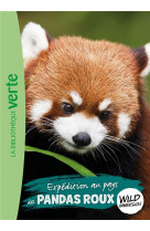 The wild immersion - t16 - wild immersion 16 - expedition au pays des pandas roux