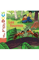 Les fourmis