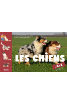 Les chiens de a a z