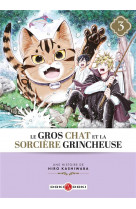 Gros chat et la sorciere grincheuse (le) - t03 - le gros chat et la sorciere grincheuse - vol. 03