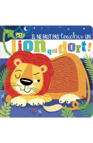 Il ne faut pas toucher... - un lion qui dort