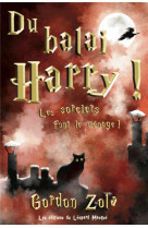 Du balai, harry ! les sorciers font le menage !