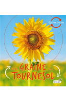 De la graine au tournesol