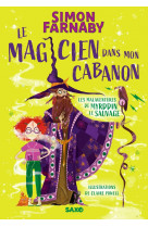 Le magicien dans mon cabanon (broche)