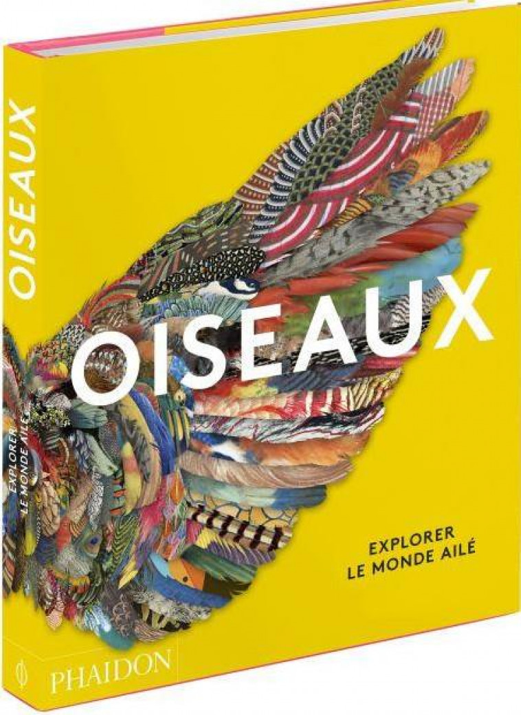 OISEAUX - EXPLORER LE MONDE AILE - PHAIDON - NC