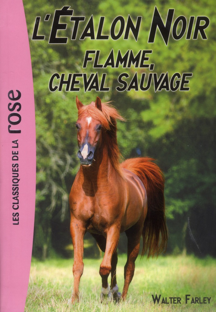 L-ETALON NOIR - T10 - L-ETALON NOIR 10 - FLAMME, CHEVAL SAUVAGE - FARLEY WALTER - Hachette Jeunesse