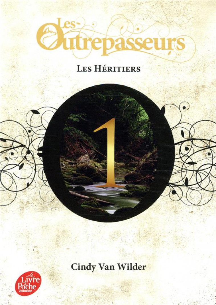 LES OUTREPASSEURS - TOME 1 - LES HERITIERS - VAN WILDER CINDY - HACHETTE