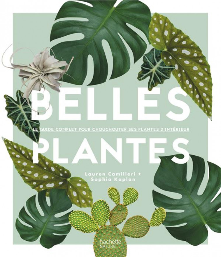 BELLES PLANTES - CAMILLERI/KAPLAN - HACHETTE