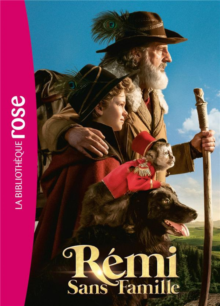 FILMS BB ROSE 8-10 - REMI SANS FAMILLE - LE ROMAN DU FILM - TF1 STUDIO - HACHETTE