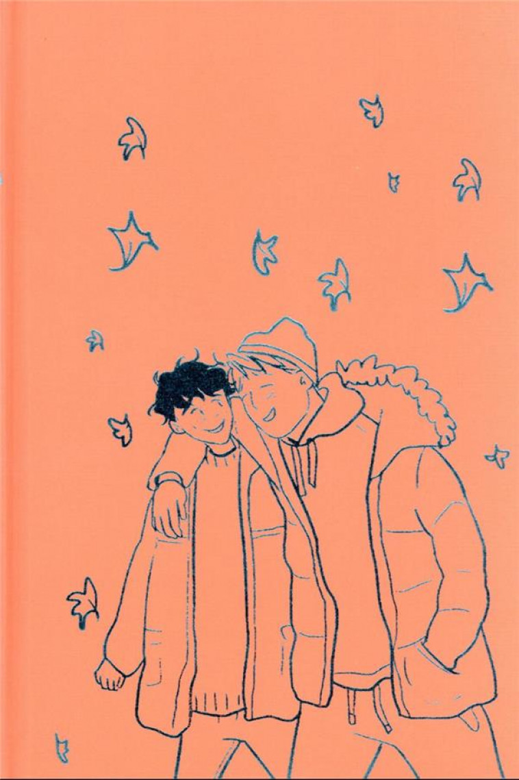 HEARTSTOPPER - TOME 1 - EDITION COLLECTOR (FRANCAISE) - DEUX GARCONS, UNE RENCONTRE - DROUET VALERIE - HACHETTE