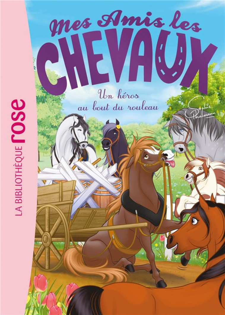 MES AMIS LES CHEVAUX - SOPHIE THALMANN - T41 - MES AMIS LES CHEVAUX 41 - UN HEROS AU BOUT DU ROULEAU - LIVRE HACHETTE - HACHETTE