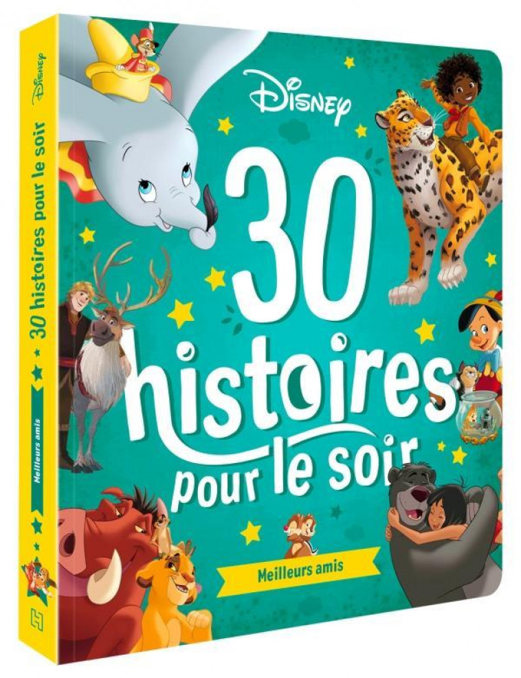 DISNEY - 30 HISTOIRES POUR LE SOIR - MEILLEURS AMIS - XXX - HACHETTE