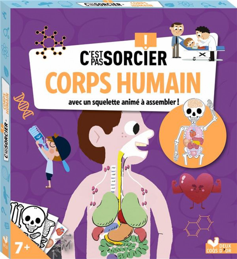 C-EST PAS SORCIER CORPS HUMAIN - BOITE AVEC ACCESSOIRES - COLLECTIF - HACHETTE