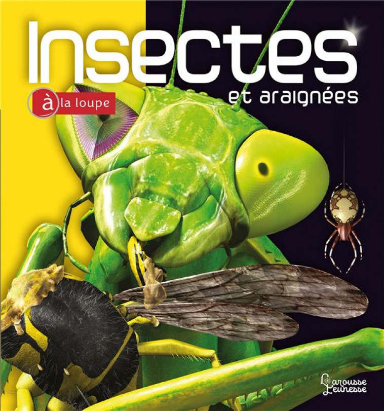 INSECTES ET ARAIGNEES - TAIT NOEL - LAROUSSE