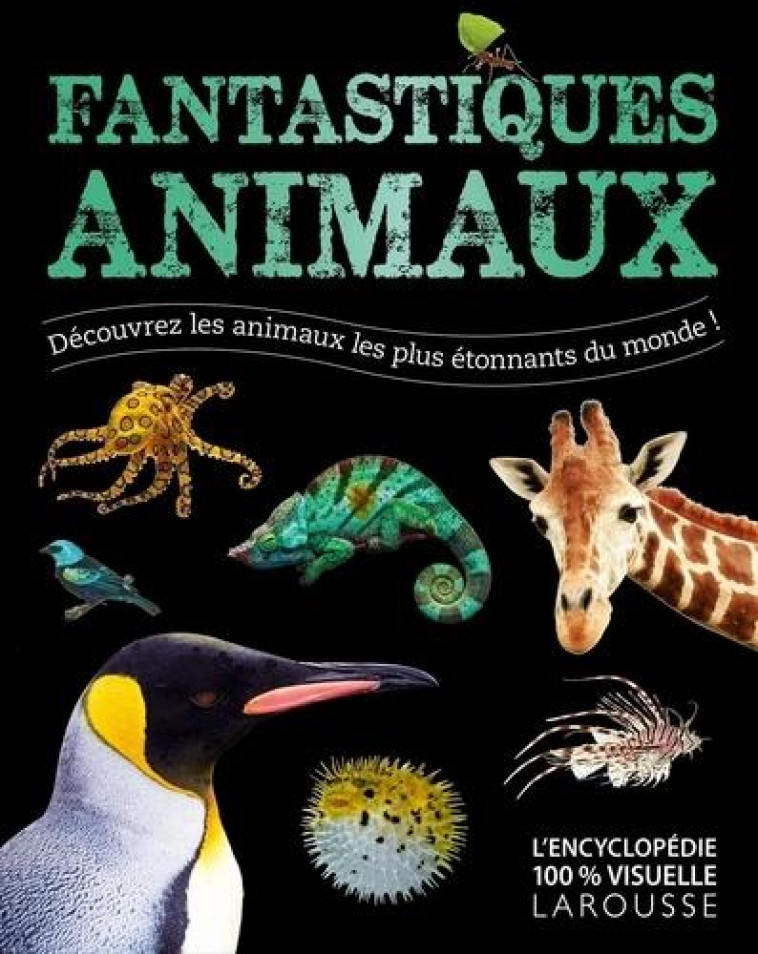 FANTASTIQUES ANIMAUX - COLLECTIF - LAROUSSE