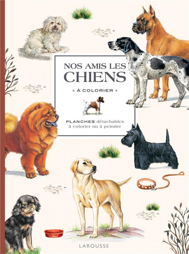 NOS AMIS LES CHIENS A  COLORIER - XXX - NC