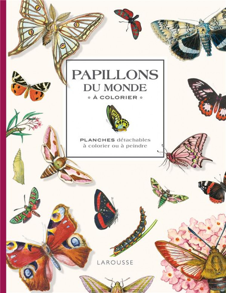 PAPILLONS DU MONDE A COLORIER - XXX - NC