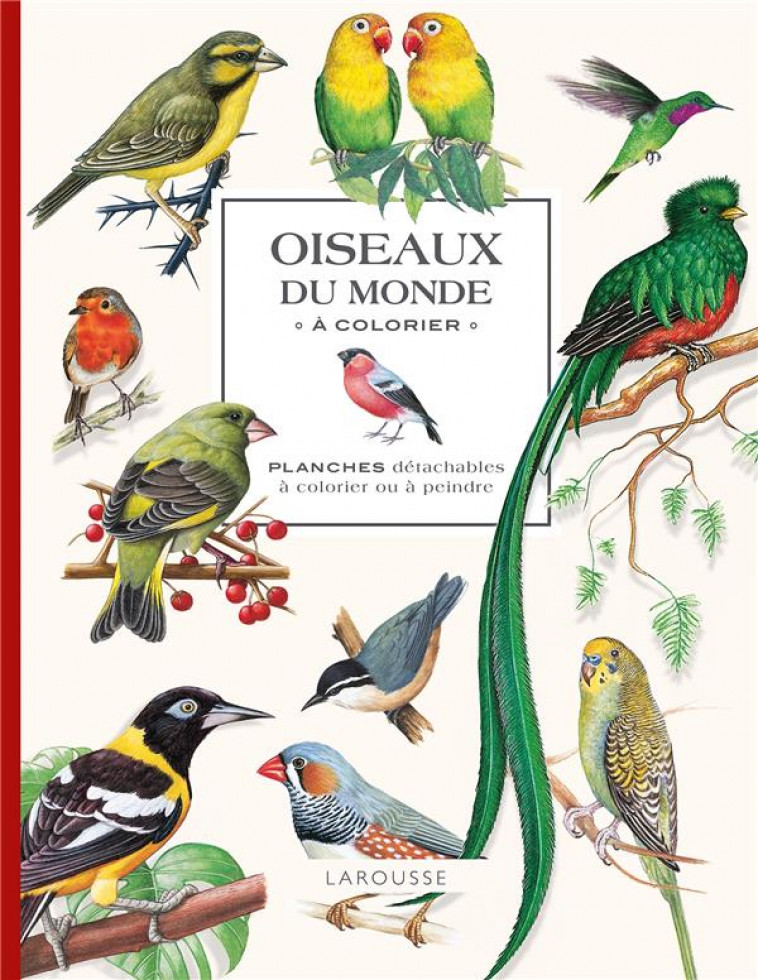 OISEAUX DU MONDE A COLORIER - XXX - NC