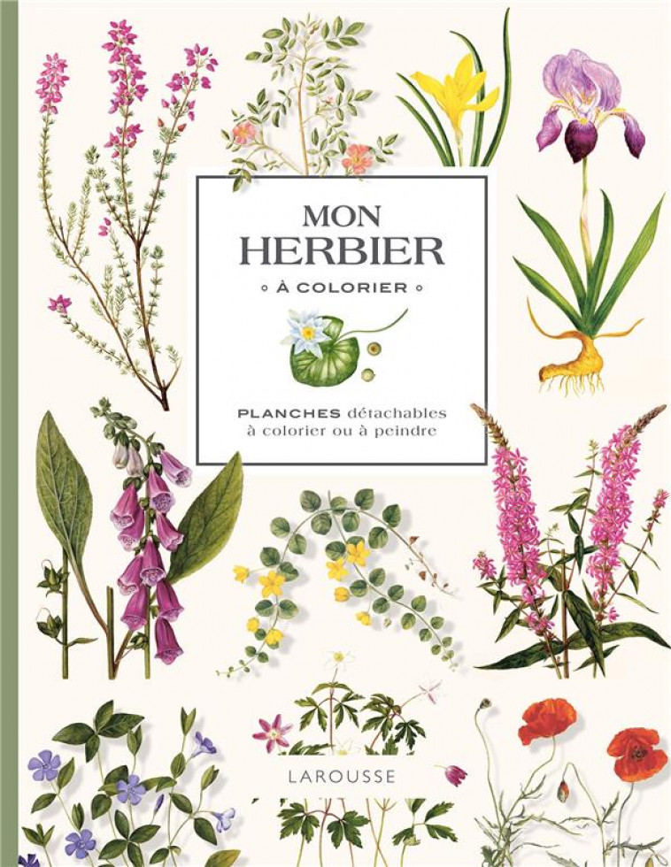 MON HERBIER A COLORIER - XXX - NC