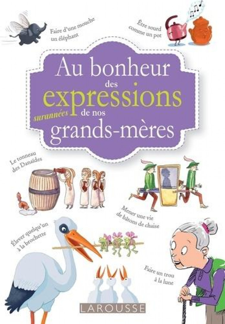 AU BONHEUR DES MOTS ET EXPRESSIONS SURANNEES DE NOS GRANDS MERES - DIDIERJEAN - LAROUSSE