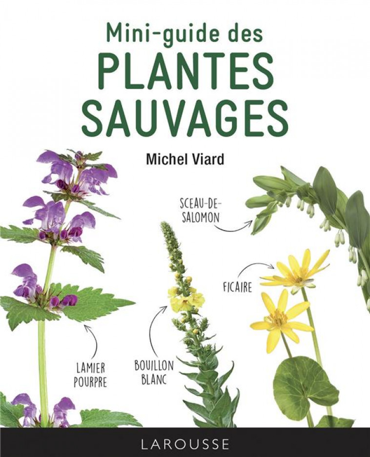 MINI-GUIDE DES PLANTES SAUVAGES - VIARD MICHEL - LAROUSSE