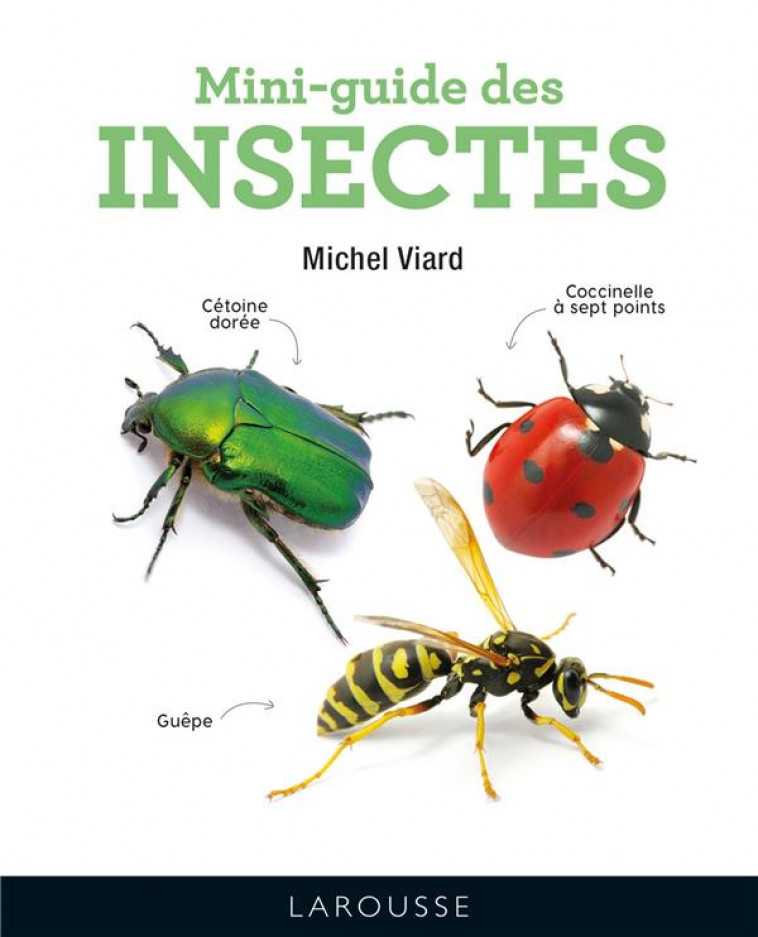 MINI-GUIDE DES INSECTES - VIARD MICHEL - LAROUSSE