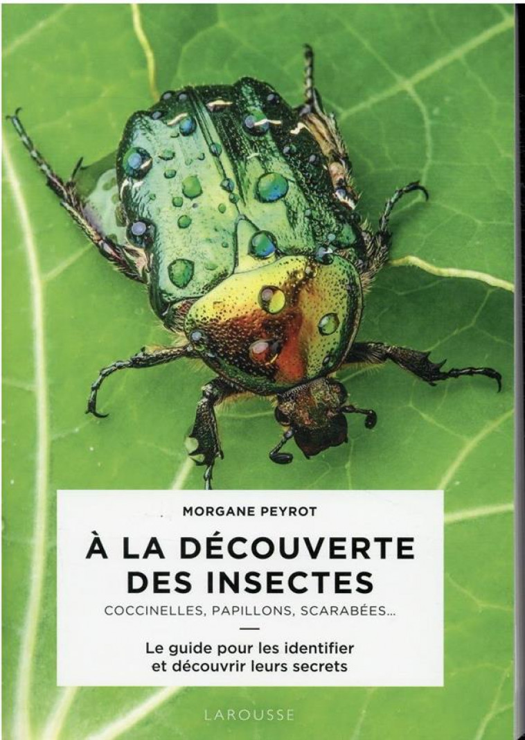 A LA DECOUVERTE DES INSECTES - PEYROT MORGANE - LAROUSSE