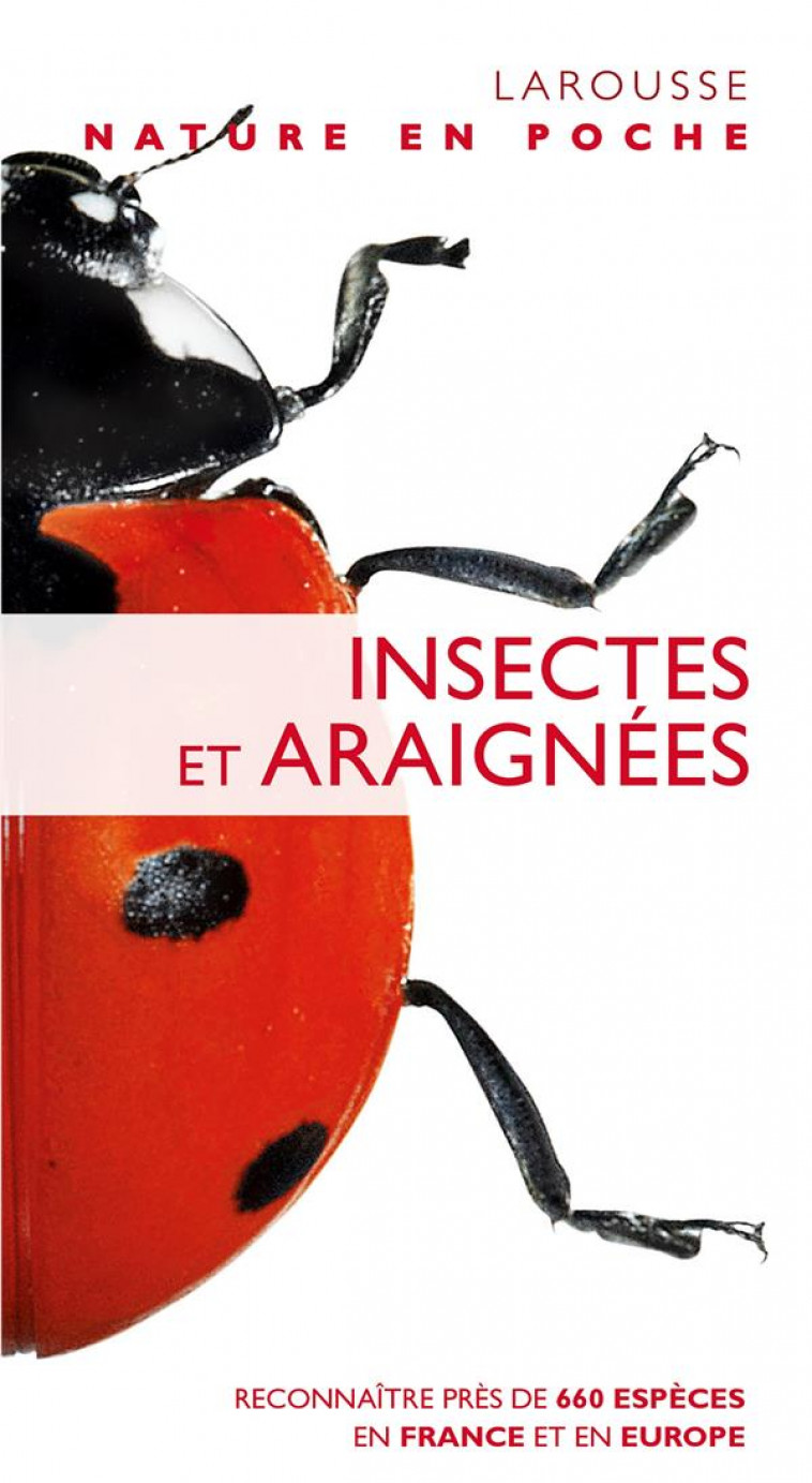 INSECTES ET ARAIGNEES - MC GAVIN GEORGE - LAROUSSE