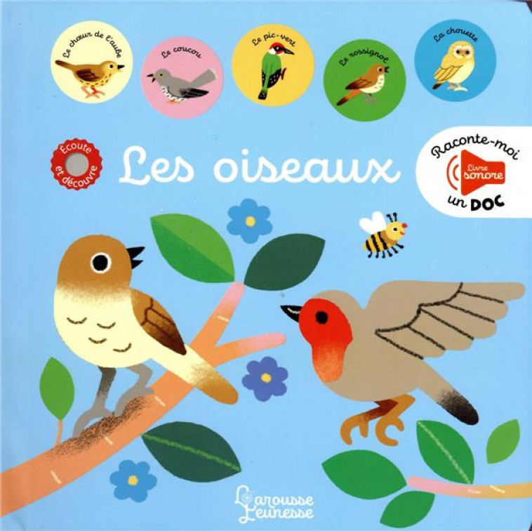 RACONTE MOI UN DOC LES OISEAUX - LUTHRINGER MELISANDE - LAROUSSE