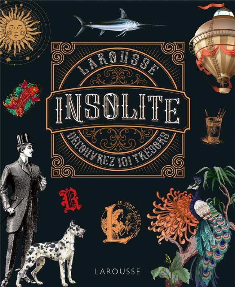 L-INSOLITE - COLLECTIF - LAROUSSE