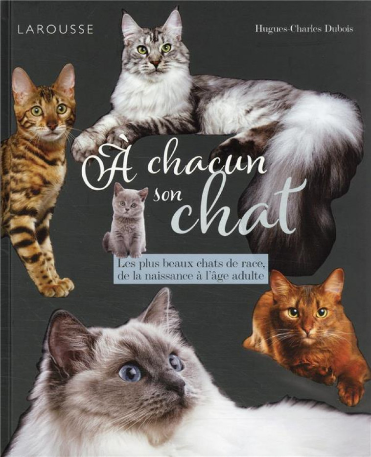 A CHACUN SON CHAT - LES PLUS BEAUX CHATS DE RACE, DE LA NAISSANCE A L-AGE ADULTE - DUBOIS H-C. - LAROUSSE