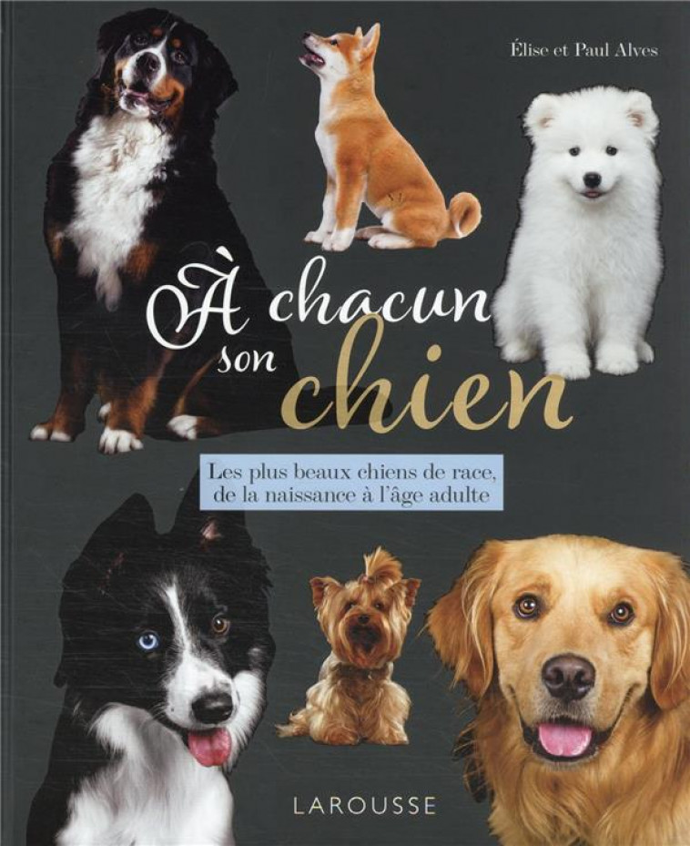 A CHACUN SON CHIEN - LES PLUS BEAUX CHIENS DE RACE, DE LA NAISSANCE A L AGE ADULTE - ALVES - LAROUSSE