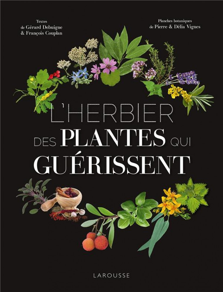 L-HERBIER DES PLANTES QUI GUERISSENT - VIGNES/DEBUIGNE - LAROUSSE