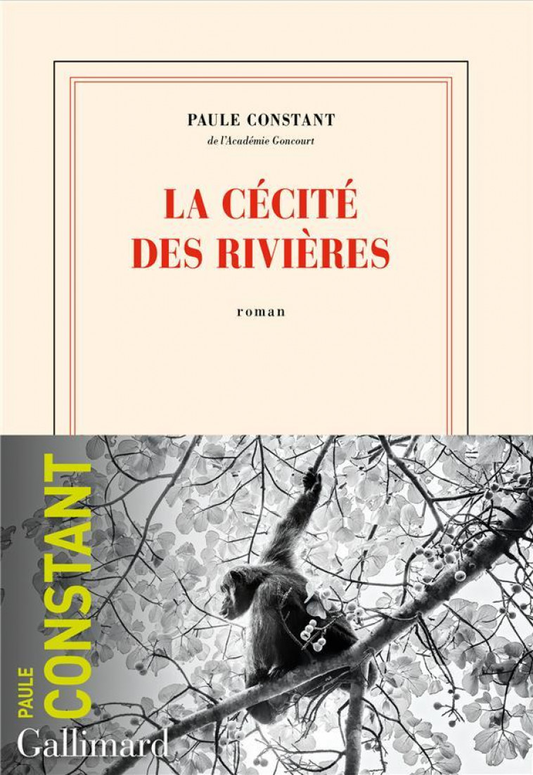 LA CECITE DES RIVIERES - CONSTANT PAULE - GALLIMARD