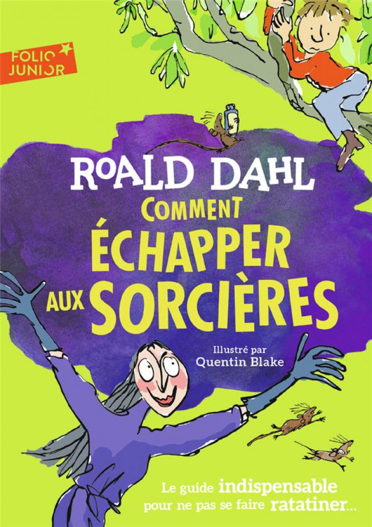 COMMENT ECHAPPER AUX SORCIERES - LE GUIDE INDISPENSABLE POUR NE PAS SE FAIRE RATATINER... - DAHL/BLAKE - GALLIMARD