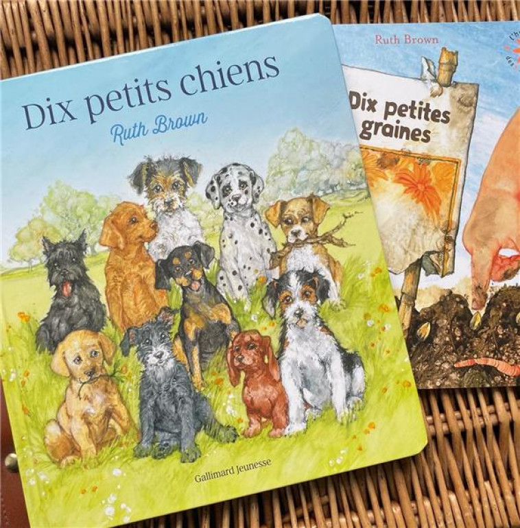 DIX PETITS CHIENS - BROWN - GALLIMARD