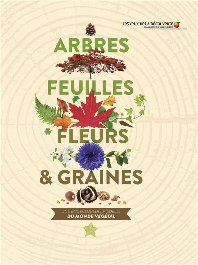 ARBRES, FEUILLES, FLEURS ET GRAINES - UNE ENCYCLOPEDIE VISUELLE DU MONDE VEGETAL - JOSE SARAH - GALLIMARD