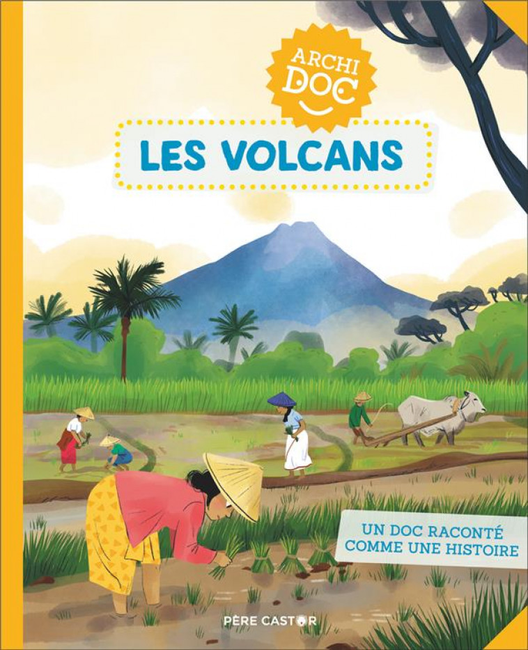 ARCHIDOCS - LES VOLCANS - TREDEZ/RIEMANN - FLAMMARION