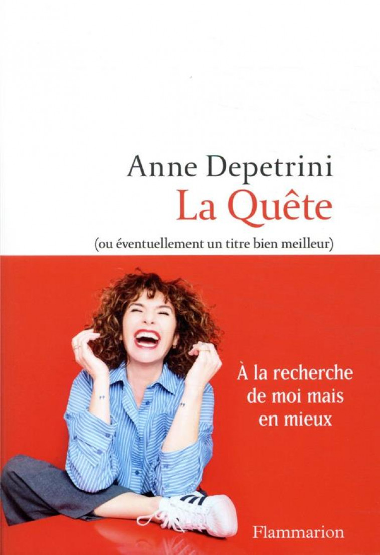 LA QUETE - (OU EVENTUELLEMENT UN TITRE BIEN MEILLEUR) - DEPETRINI ANNE - FLAMMARION