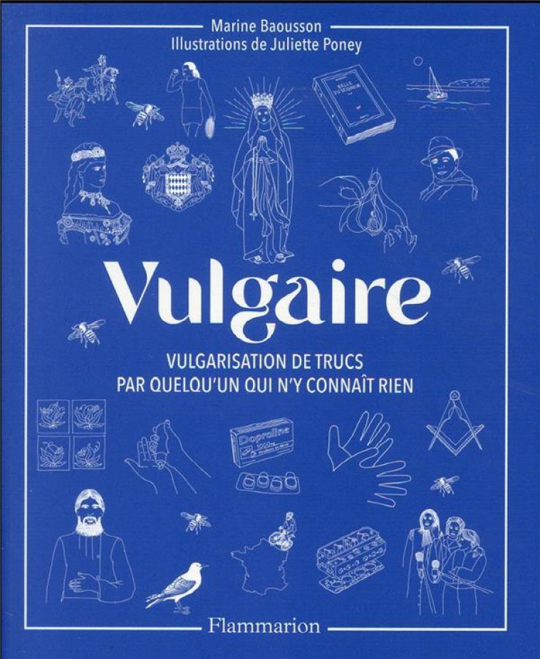 VULGAIRE - VULGARISATION DE TRUCS PAR QUELQU-UN QUI N-Y CONNAIT RIEN - BAOUSSON/PONEY - FLAMMARION