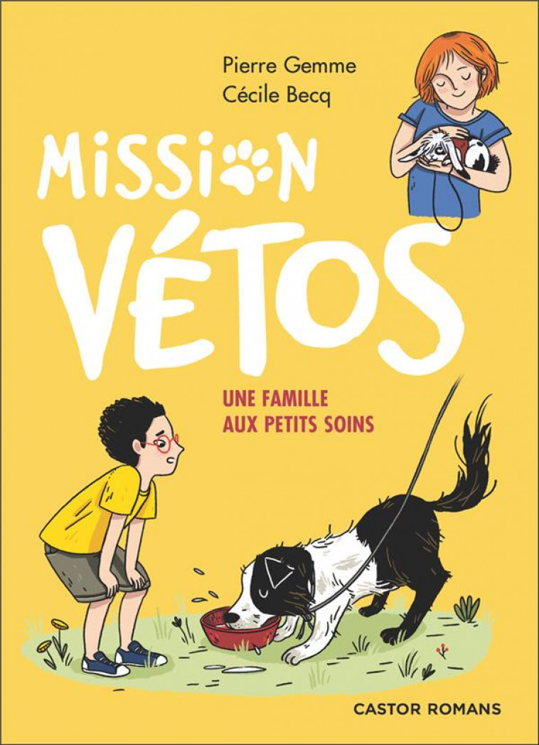 MISSION VETOS - UNE FAMILLE AUX PETITS SOINS - GEMME/BECQ - FLAMMARION