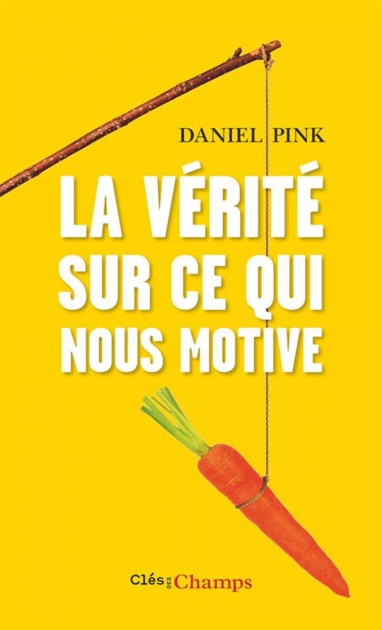 LA VERITE SUR CE QUI NOUS MOTIVE - PINK/REY-MILLET/GETZ - Flammarion