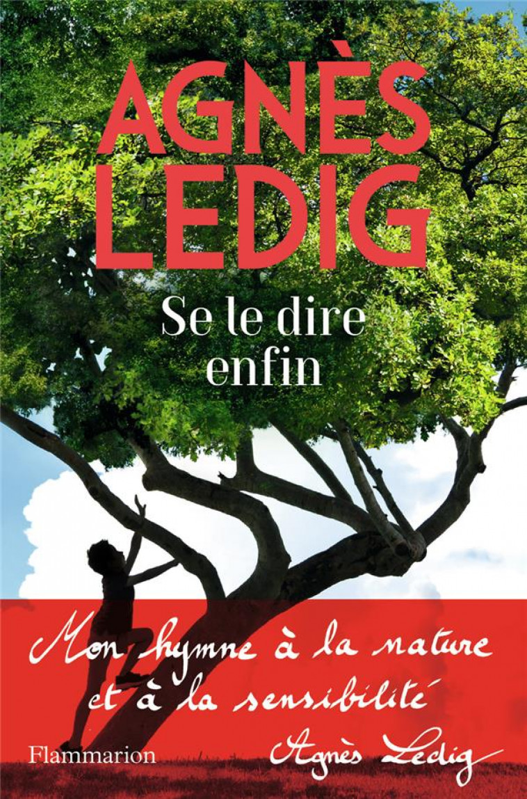 SE LE DIRE ENFIN - LEDIG AGNES - FLAMMARION